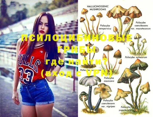 ешки Алзамай