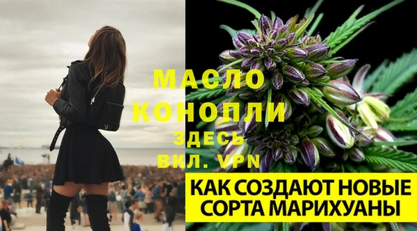 крисы Балабаново