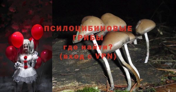 МДМА Арсеньев