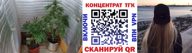 Дистиллят ТГК вейп  купить закладку  Киренск 